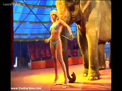 Flawless blond honey in a petite thong bikini posing with an heavy elephant 